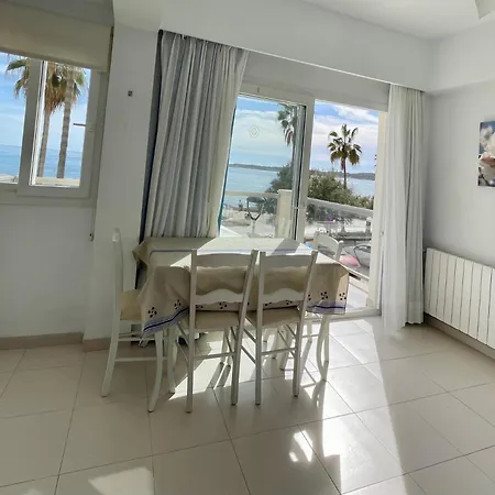 Arcadia كالا مييور